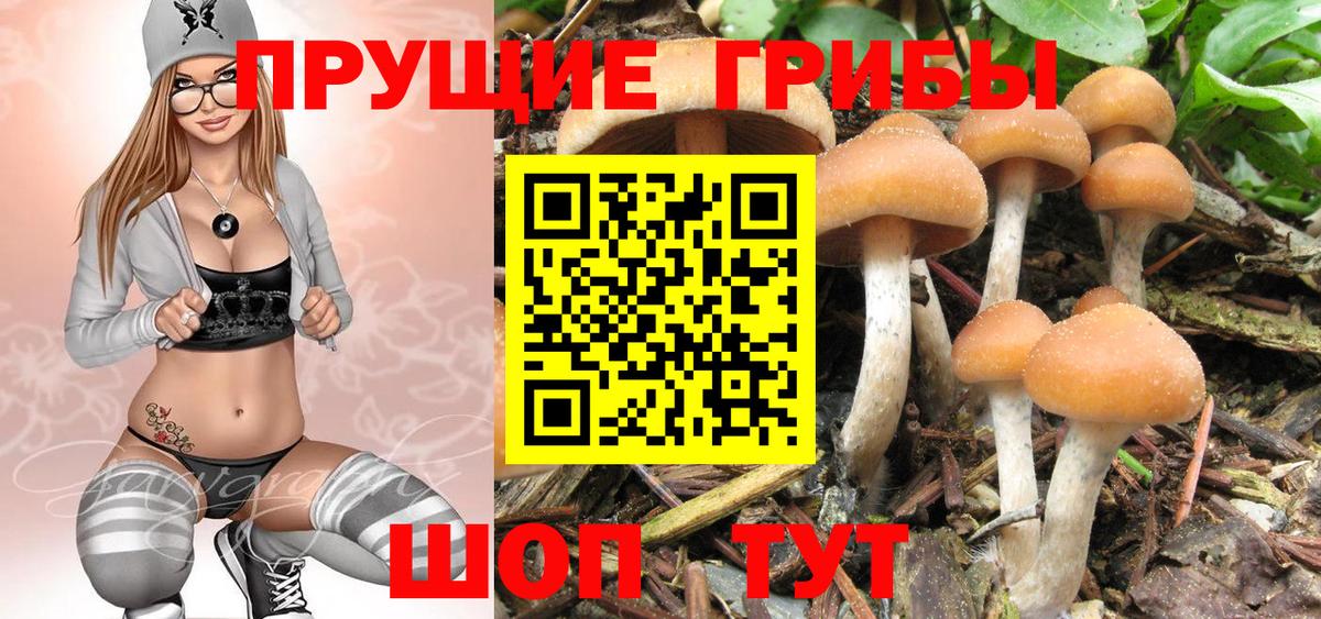 Псилоцибиновые грибы MAGIC MUSHROOMS  Вход с VPN  Балабаново  Галлюциногенные грибы ЛСД 